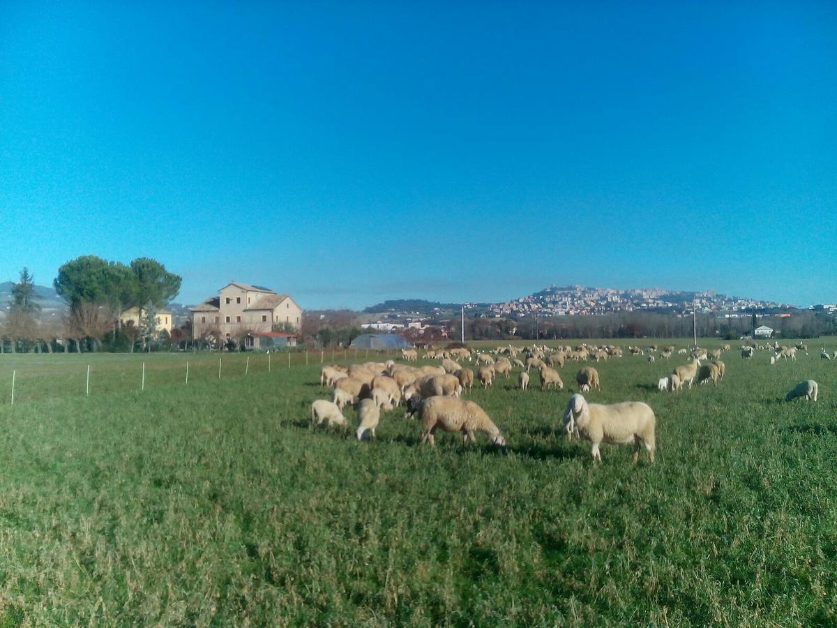 Alla Bigattiera Osimo Exterior foto